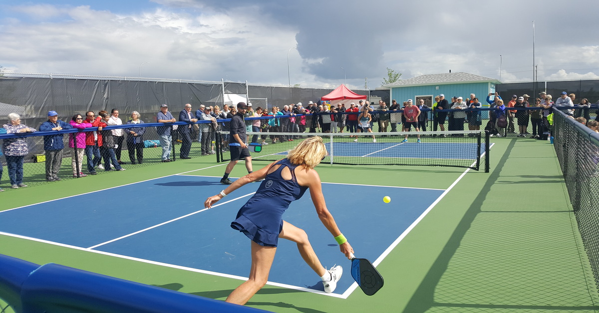 ASI Community Center & Park pickleballs