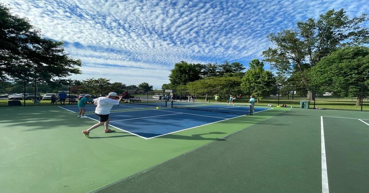 Amador Park Pickleball in Virginia