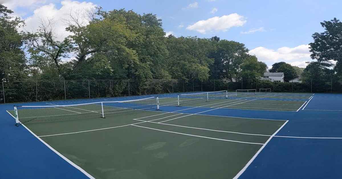 Atkins Porter Recreational Center Pickleball Courts