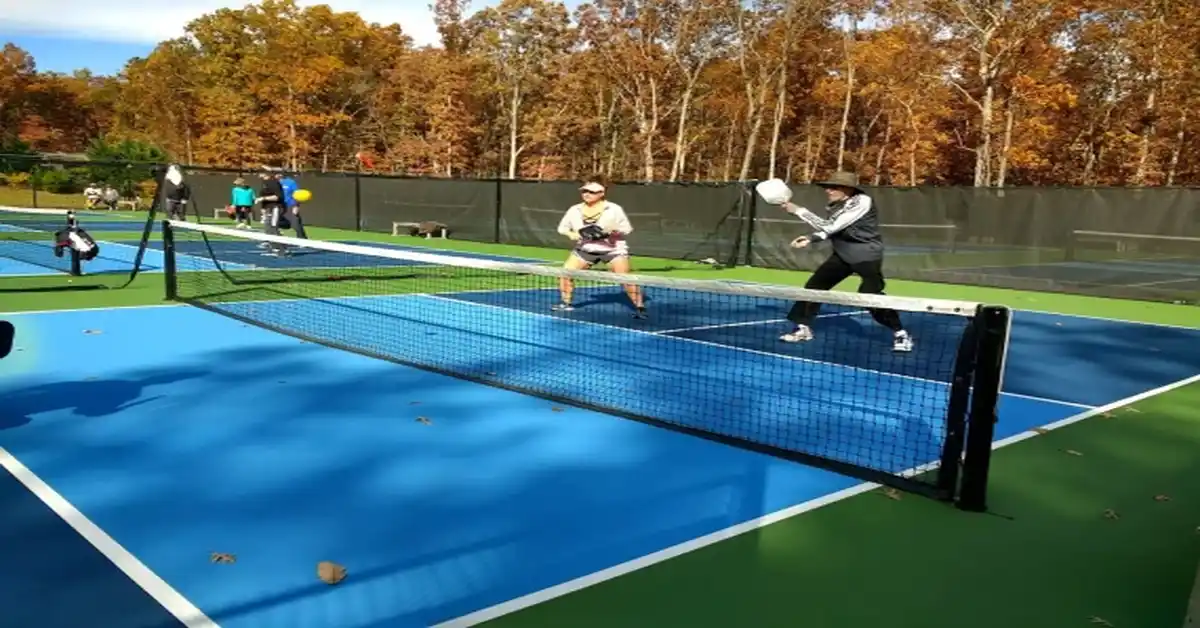 Atkins Porter Recreational Center Pickleball