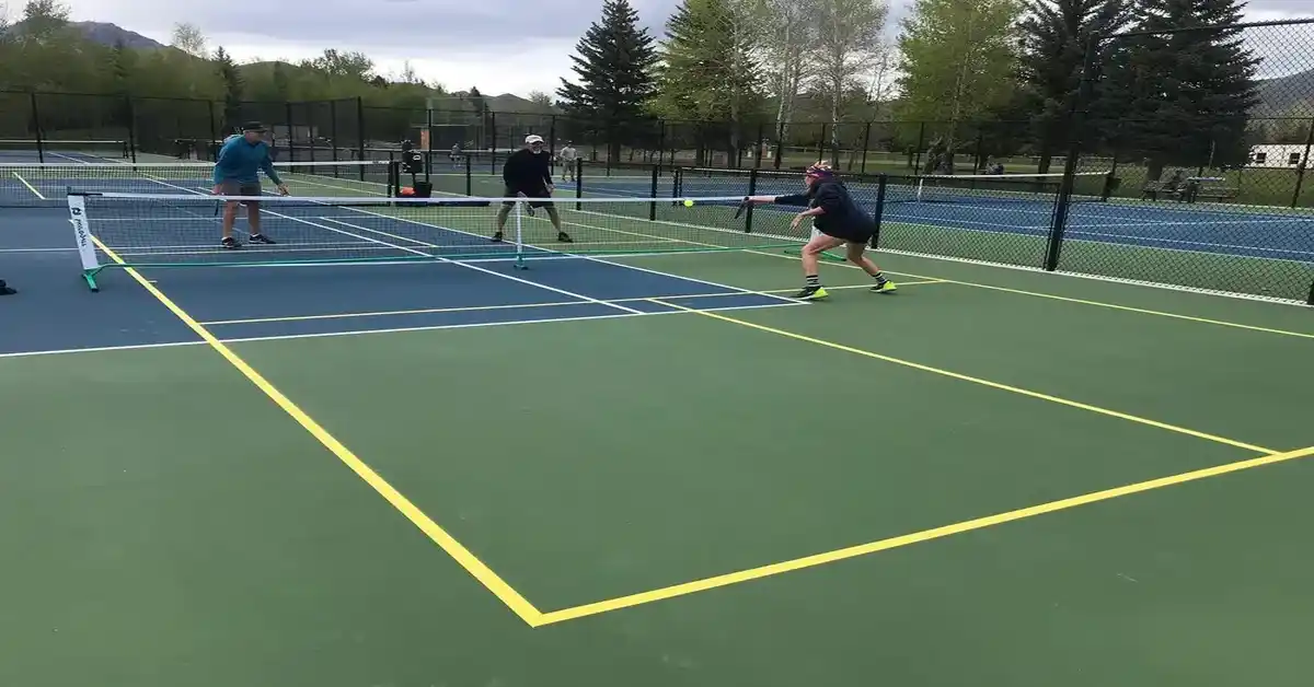 Atkinson Park Pickleball