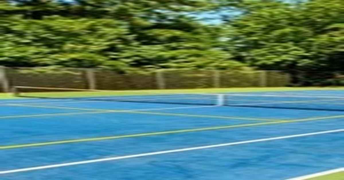 Avery Creek in Woodstock Pickleball Courts