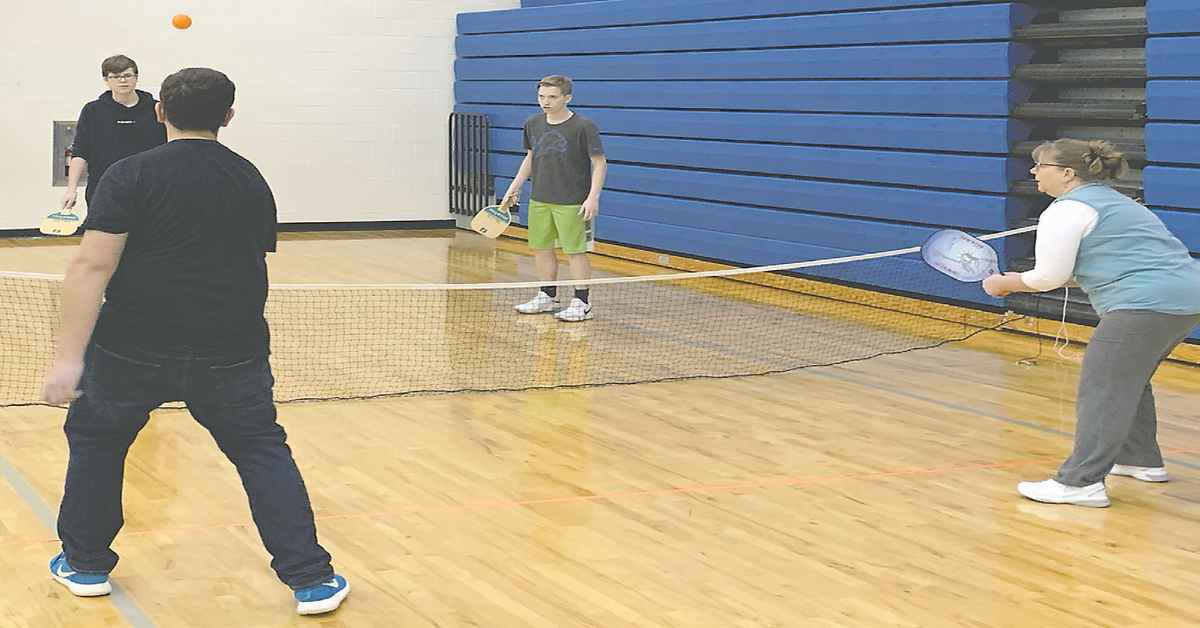 Bad Axe Pickleball Association Pickleball Courts