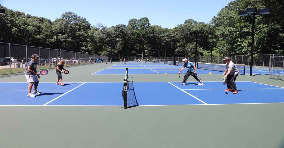 Baer Park Pickleball game