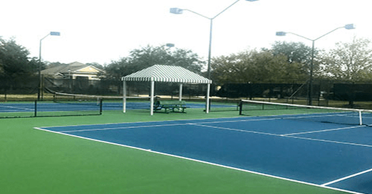 Bartram Springs Pickleball Game