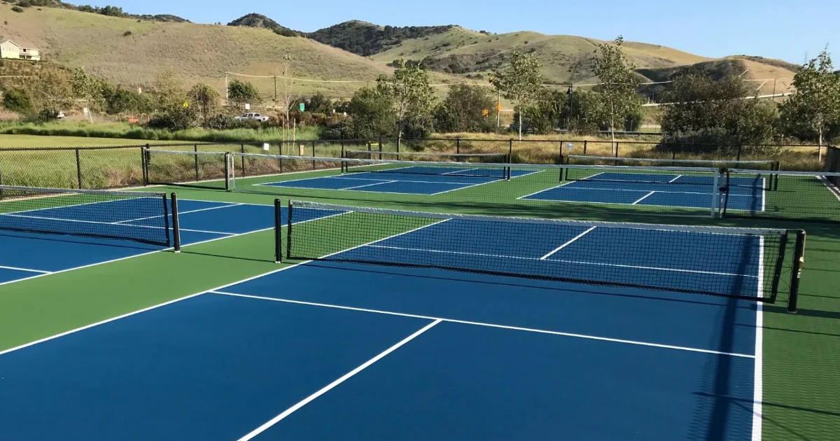 Blees Area Public TennisPickleball court