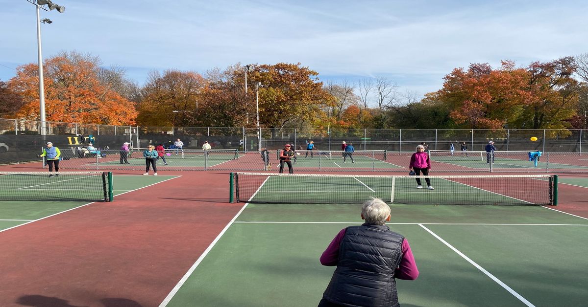 C.k. Ray Recreational Center pickle ball