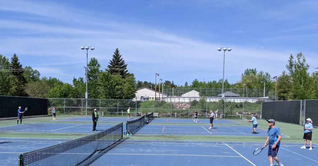 Cook County Tennis Association