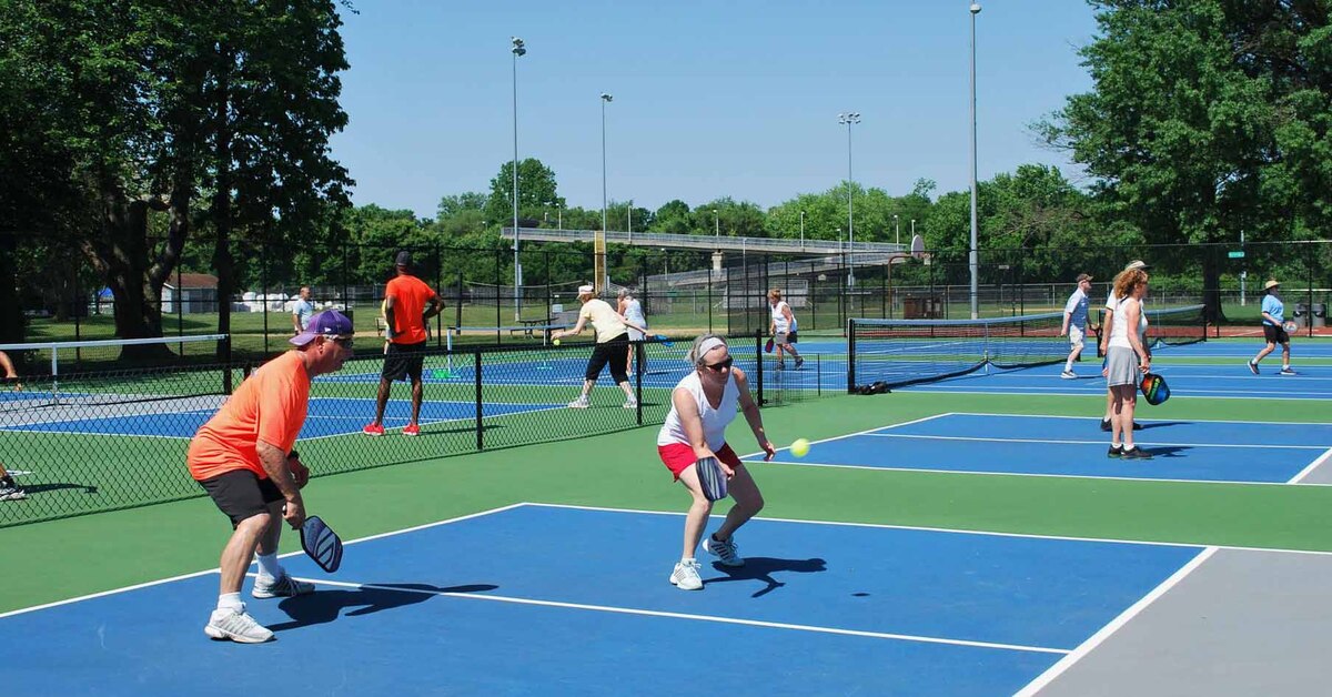 Alveolar Ridge Pickleball Club pickleballs